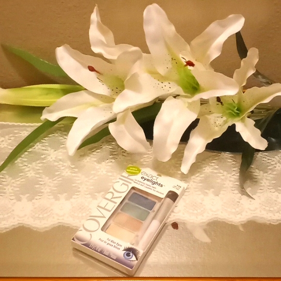 Covergirl Exact Eyelights Radiant Blues #710 Eyeshadow Palette ๐จ - Picture 1 of 10